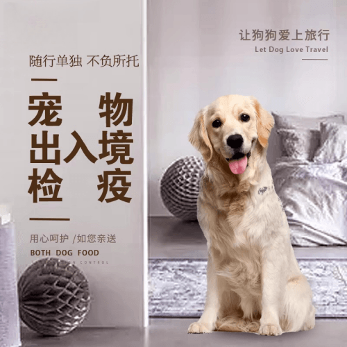 荆州市宠物托运到哥伦比亚猫狗宠物入境规定和