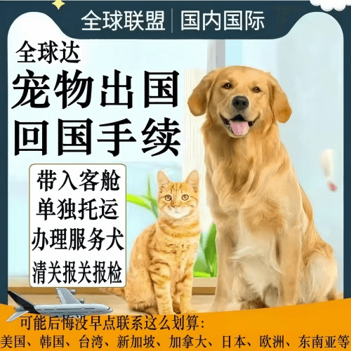 荆州市宠物托运到柬埔寨宠物入境规定和要求