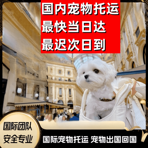 荆州市到澳大利亚（澳洲）宠物入境规定和要求